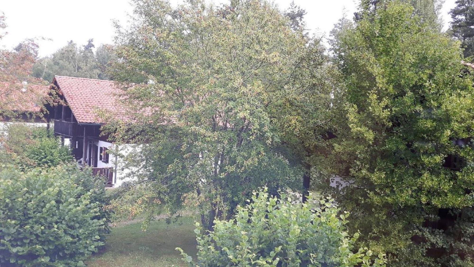 Ferienhaus Virzi - Waldferiendorf Regen Exterior foto